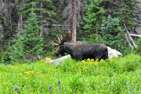DSC_0283_edited - MK