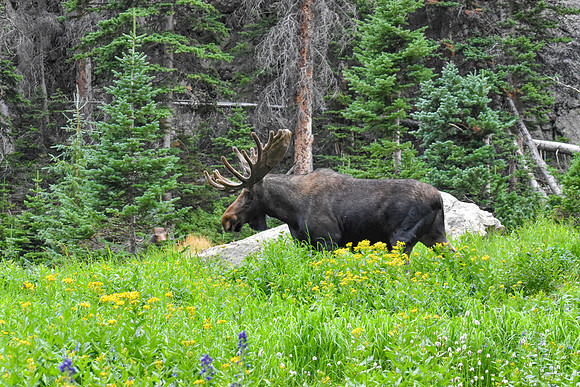DSC_0283_edited - MK