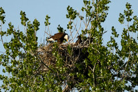 DSC_7652_edited