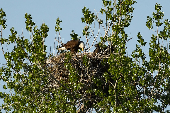 DSC_7652_edited