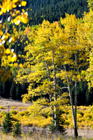 DSC_0445_edited