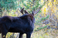 DSC_1061_edited