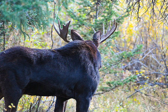DSC_1061_edited