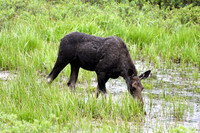 DSC_4390_edited