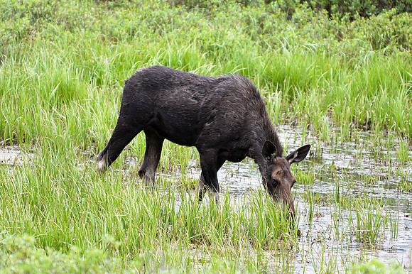 DSC_4390_edited
