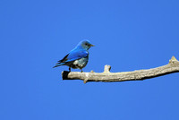 DSC_9163_edited