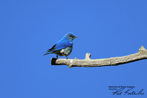 DSC_9163_edited