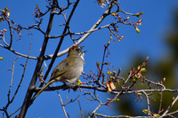 DSC_0019_edited