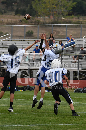 DSC_9744_edited-4x6 Vert - Hawkins Flanagan - DCA vs Lyons