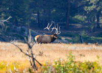 DSC_3939_edited - Kahuna 9/25/2020