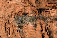 DSC_6224_edited