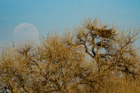 DSC_4266_edited