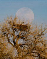 DSC_4326_edited-1