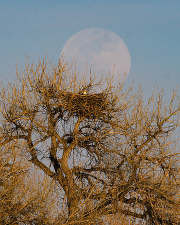 DSC_4326_edited-1