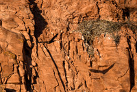 DSC_6586_edited