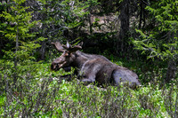 DSC_4878_edited