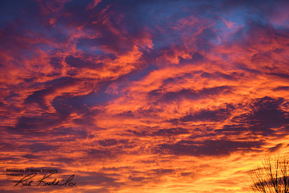 DSC_0701_edited
