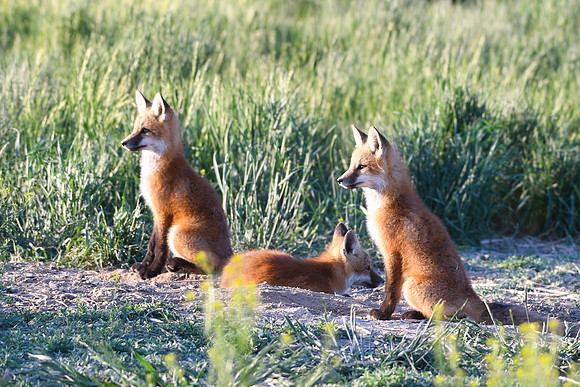 DSC_5297_edited