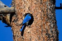 DSC_9058_edited