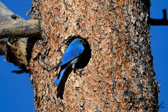 DSC_9058_edited