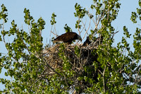 DSC_7633_edited