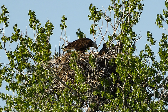 DSC_7633_edited