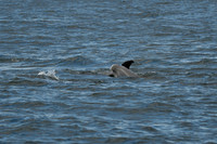 DSC_7280_edited