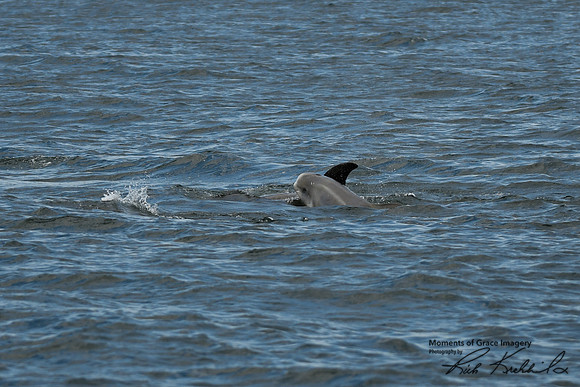 DSC_7280_edited