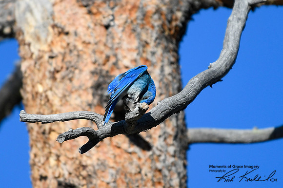 DSC_9121_edited