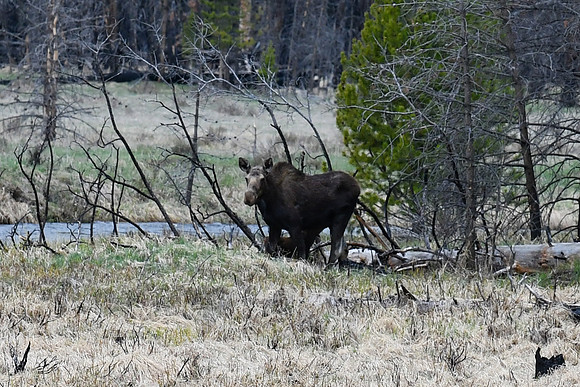DSC_6965_edited