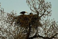 DSC_4618_edited_edited