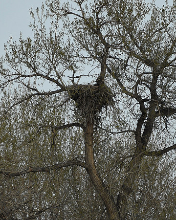 DSC_5901_edited