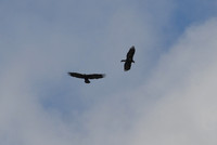 DSC_5045_edited