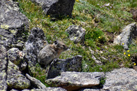 DSC_0242_edited