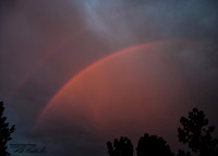 Add Watermark_2022_07_01_12_00_36_edited