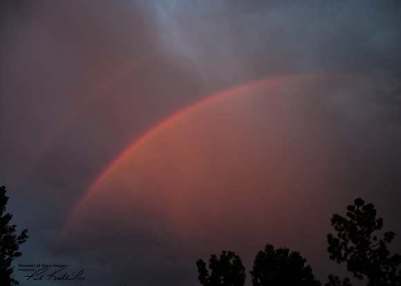 Add Watermark_2022_07_01_12_00_36_edited