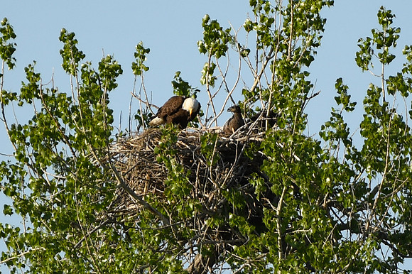 DSC_7655_edited
