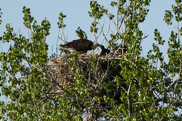 DSC_7643_edited