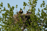 DSC_7657_edited
