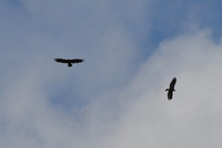 DSC_5047_edited